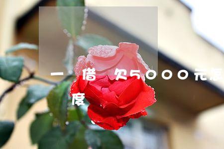 一級借唄欠5000元怎么還(借唄5000額度)