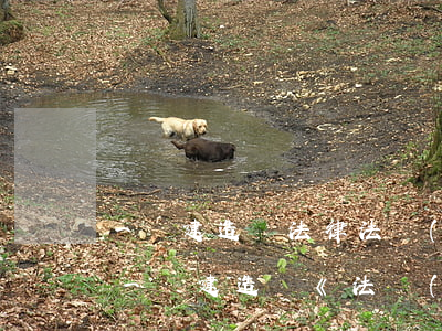 一級建造師法律法規(guī)重點匯總(一級建造師《法規(guī)及相關(guān)知識》例題及解析)