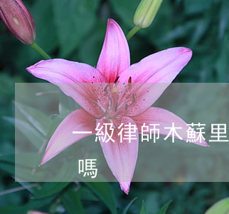 一級律師木蘇里有車嗎(一級律師木蘇里有車嗎)