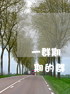一群期間信用卡可以逾期嗎(有沒有信用卡逾期的群)