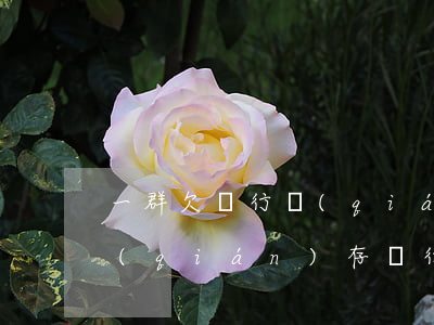 一群欠銀行錢(qián)的人和一群把錢(qián)存銀行的-一群欠銀行錢(qián)的人和一群把錢(qián)存銀行的人