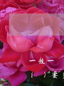 一般一場(chǎng)官司律師費(fèi)要多少(一般一場(chǎng)官司律師費(fèi)要多少)