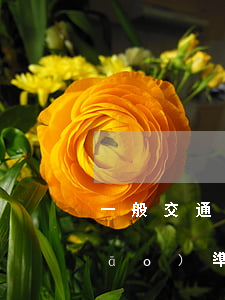 一般交通事故律師收費(fèi)標(biāo)準(zhǔn)是多少(交通事故律師費(fèi)用都是怎么收費(fèi)的)