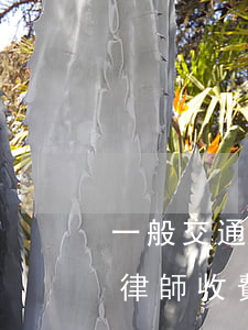 一般交通事故律師收費標準是多少(交通事故律師收費標準最新規(guī)定)