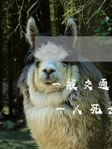 一般交通事故致人死亡賠償標準(交通事故致一人死亡的賠付標準)