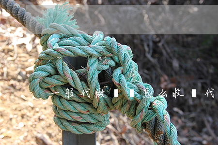 一般代做標書怎么收費(代做標書收費標準)
