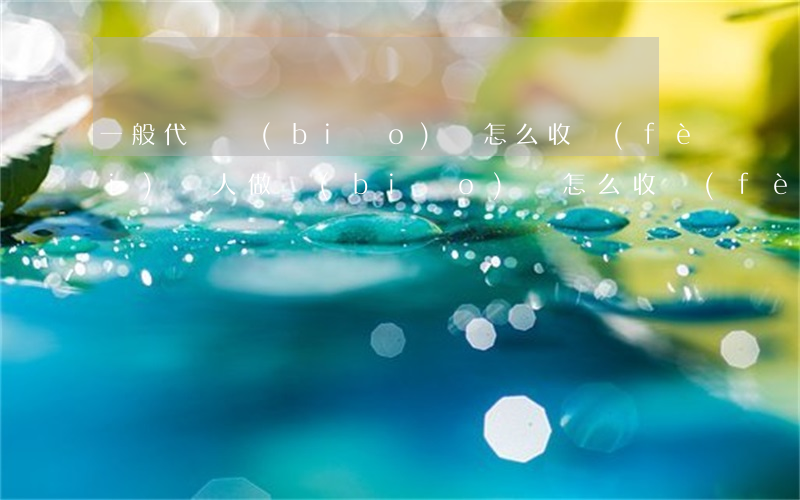 一般代寫標(biāo)書怎么收費(fèi)(幫人做標(biāo)書怎么收費(fèi))