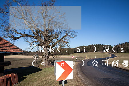 一般來(lái)說(shuō)如何申請(qǐng)公司商標(biāo)（商標(biāo)申請(qǐng)復(fù)議的材有哪些）