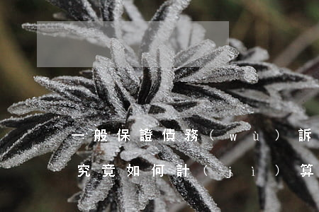 一般保證債務(wù)訴訟時(shí)效究竟如何計(jì)算