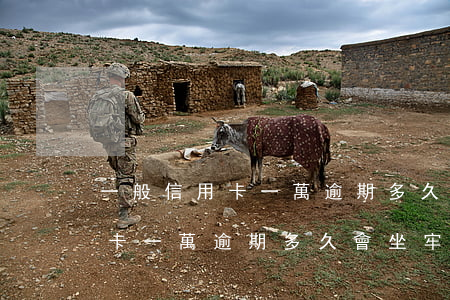 一般信用卡一萬逾期多久會坐牢-一般信用卡一萬逾期多久會坐牢呢