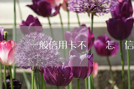一般信用卡不還會怎樣(信用卡不還會如何)