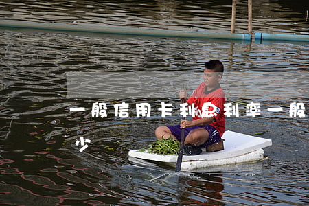 一般信用卡利息利率(一般的信用卡利息是多少)