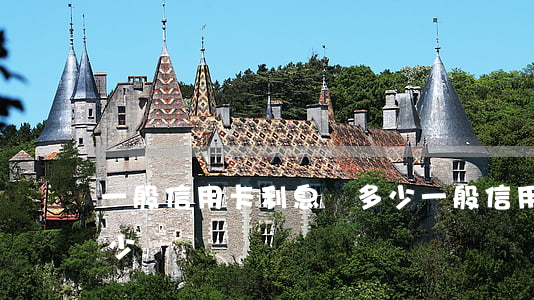 一般信用卡利息為多少 一般信用卡利息為多少錢