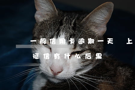 一般信用卡逾期一天會上征信嗎(逾期一天上征信有什么后果)