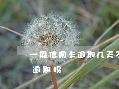 一般信用卡逾期几天不扣费(信用卡3天内算逾期吗)
