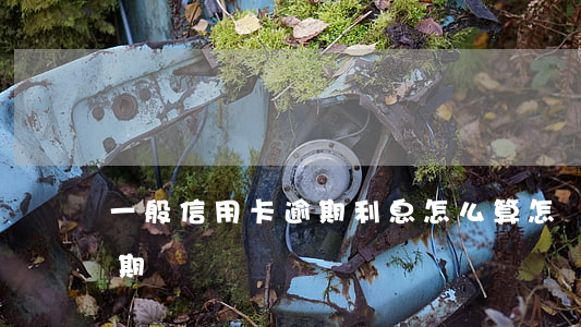 一般信用卡逾期利息怎么算(怎樣算信用卡逾期)