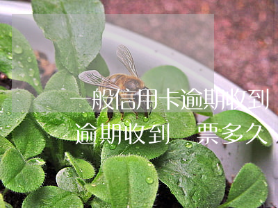 一般信用卡逾期收到傳票多久開庭-信用卡逾期收到傳票多久開庭一般多長時(shí)間