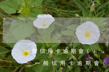 一般信用卡逾期會(huì)有什么影響嗎-一般信用卡逾期會(huì)有什么影響嗎知乎