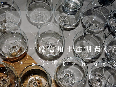 一般信用卡逾期費(fèi)用標(biāo)準(zhǔn)-一般信用卡逾期費(fèi)用標(biāo)準(zhǔn)