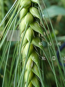 一般信用卡還款可以逾期幾天(逾期還款后多久能辦信用卡)
