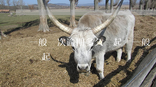 一般兩次逾期多久會起訴(一般兩次逾期多久會起訴)