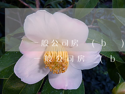 一般公司房補(bǔ)一個(gè)月多少(一般公司房補(bǔ)貼多少錢)