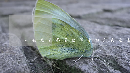 一般几天不还款算逾期(几天没还算逾期)
