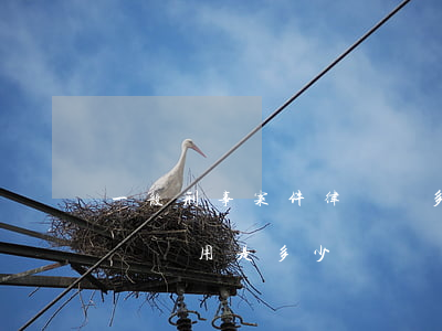 一般刑事案件律師費多少錢(一般民事案件律師費用是多少)