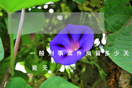 一般刑事案件拘留多少天(刑事案件最少拘留幾天)