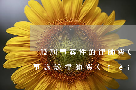 一般刑事案件的律師費(fèi)是多少(刑事訴訟律師費(fèi)用的標(biāo)準(zhǔn)一般多少)