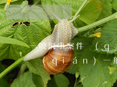 一般刑事案件請(qǐng)律師需要多少錢(qián)(一般刑事案件請(qǐng)律師需要多少錢(qián))