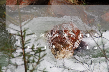 一般向法院提起訴訟多久可以開庭(去法院民事起訴多久可以開庭)