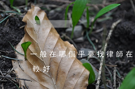 一般在哪個平臺找律師(在哪個平臺找律師比較好)