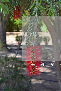 一般多少积分才能入学