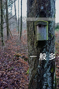一般多少钱出险(车保险多少钱出险合适)