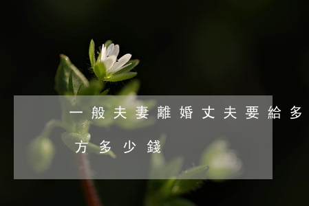 一般夫妻離婚丈夫要給多少錢(離婚一般給女方多少錢)