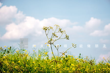 一般夫妻離婚后能做朋友嗎(和離婚的人能交朋友嗎)