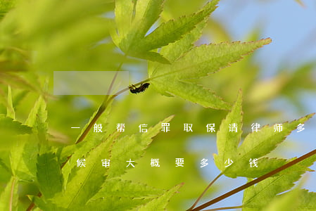 一般帮信罪取保请律师多少钱(请个律师取保候审大概要多少钱)