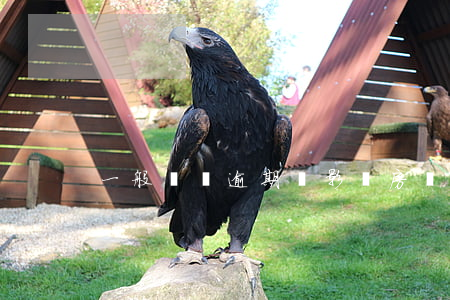 一般幾條逾期會影響房貸(房貸可以逾期幾次)
