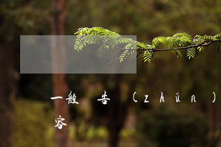 一般廣告準(zhǔn)則的內(nèi)容