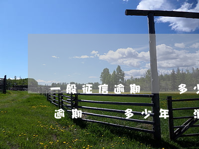 一般征信逾期記錄多少年會消除-一般征信逾期記錄多少年會消除掉