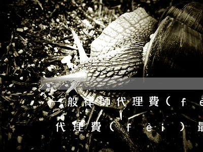 一般律師代理費(fèi)是多少比例(律師代理費(fèi)最高有多少)