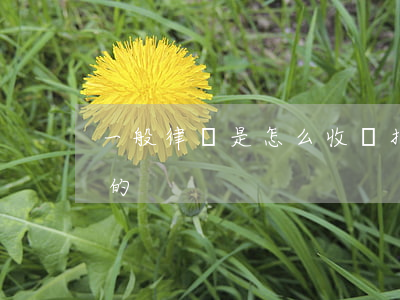 一般律師是怎么收費(打官司律師是怎么收費的)