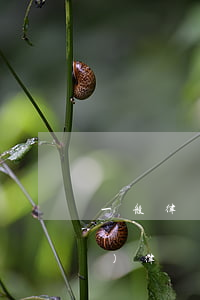 一般律師費(fèi)多少錢(請(qǐng)律師費(fèi)用一般是多少錢)