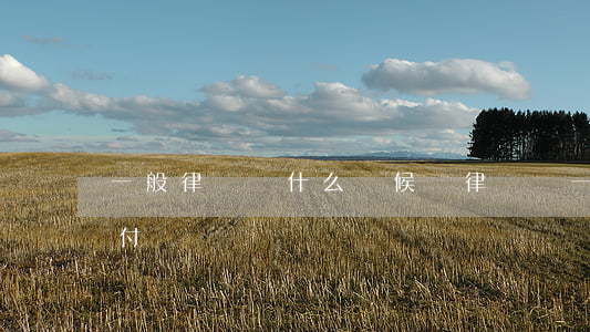 一般律師費什么時候給(律師費一般什么時候付)