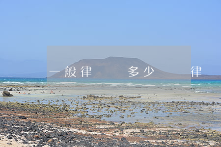 一般律師費多少錢(請律師一般多少錢律師收費標準)