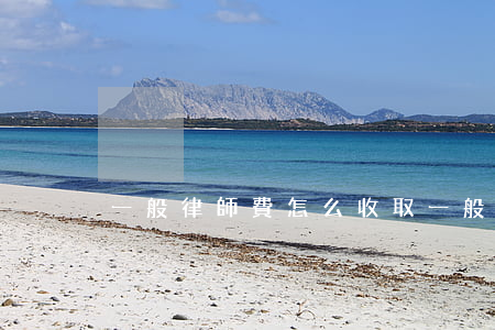 一般律師費怎么收取(一般律師費怎么收取)