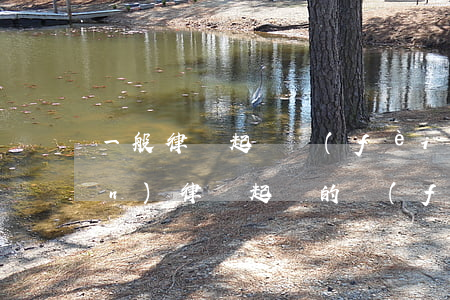 一般律師起訴費(fèi)多少錢(qián)(律師起訴的費(fèi)用一般是多少錢(qián)?)