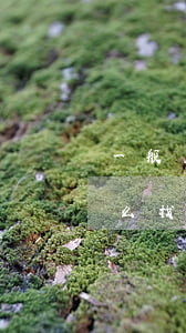 一般怎么找律師靠譜點(diǎn)(一般怎么找律師靠譜點(diǎn))