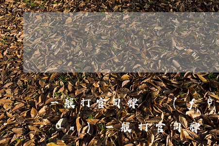 一般打官司律師費(fèi)多少錢(qián)(一般打官司律師費(fèi)多少錢(qián))